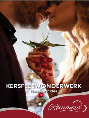 cover image of Kersfeeswonderwerk